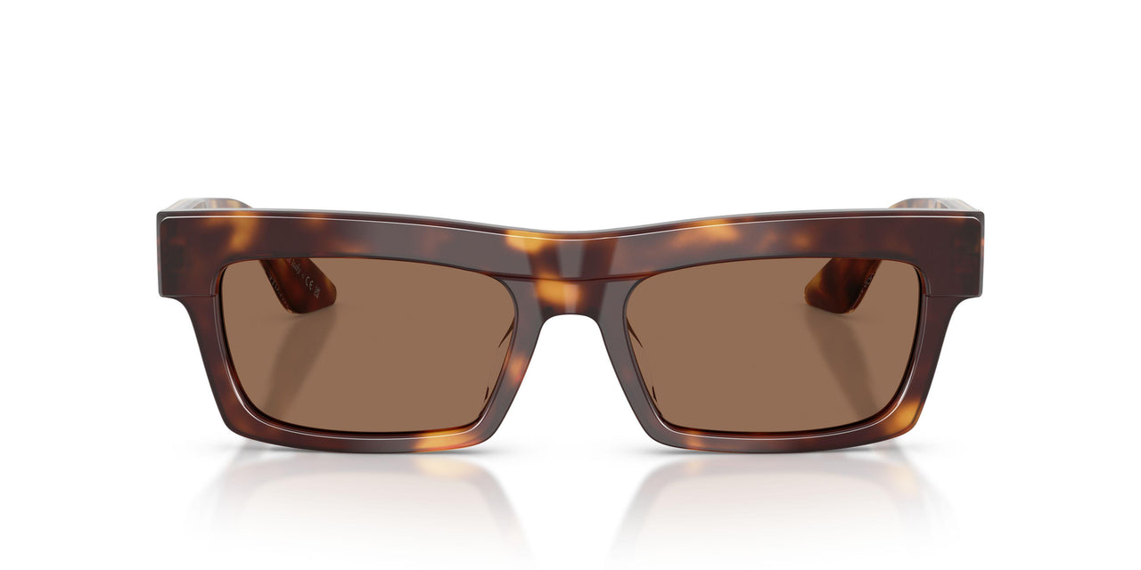 100773 - Tortoise - Brown