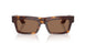 100773 - Tortoise - Brown