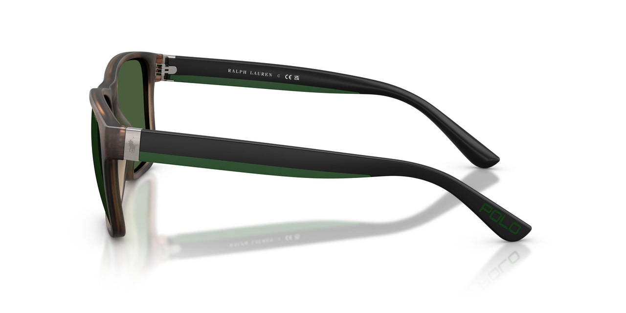 607071 - Tortoise - Bottle Green