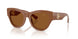 422273 - Brown - Dark Brown