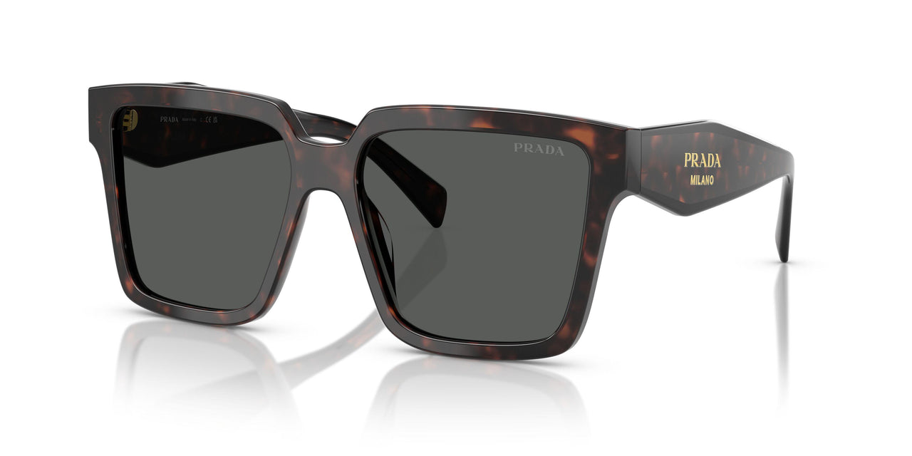 17N40L - Tortoise - Dark Grey