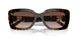 500313 - Tortoise - Gradient Brown