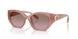 583914 - Pink - Brown Rose Gradient