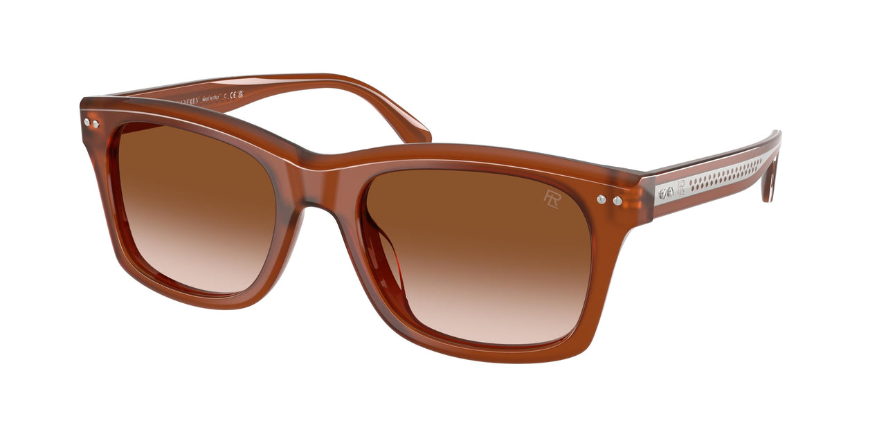 630613 - Brown - Gradient Brown