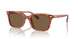 577473 - Tortoise - Brown Solid