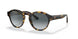 587486 - Havana - Light Blue Gradient Grey