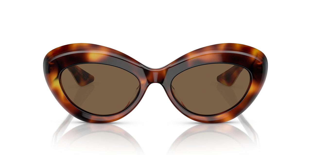 100773 - Tortoise - Brown