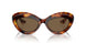 100773 - Tortoise - Brown
