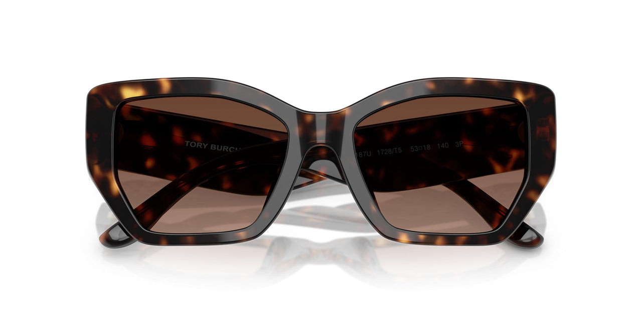 1728T5 - Tortoise - Brown Gradient Polar