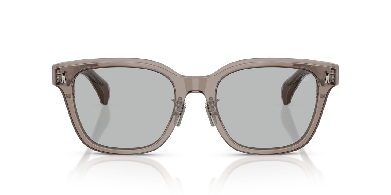 300987 - Grey - Light Grey