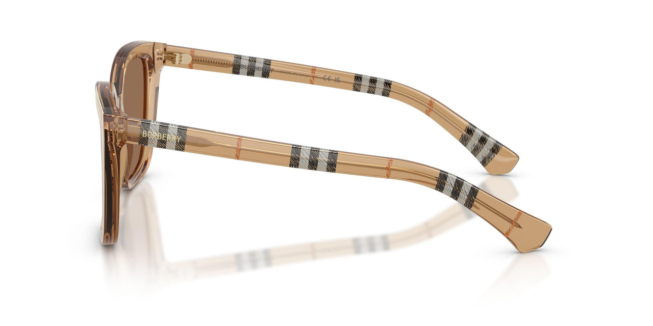 416473 - Beige - Dark Brown