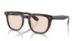 1772 - Brown