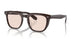 1772 - Brown
