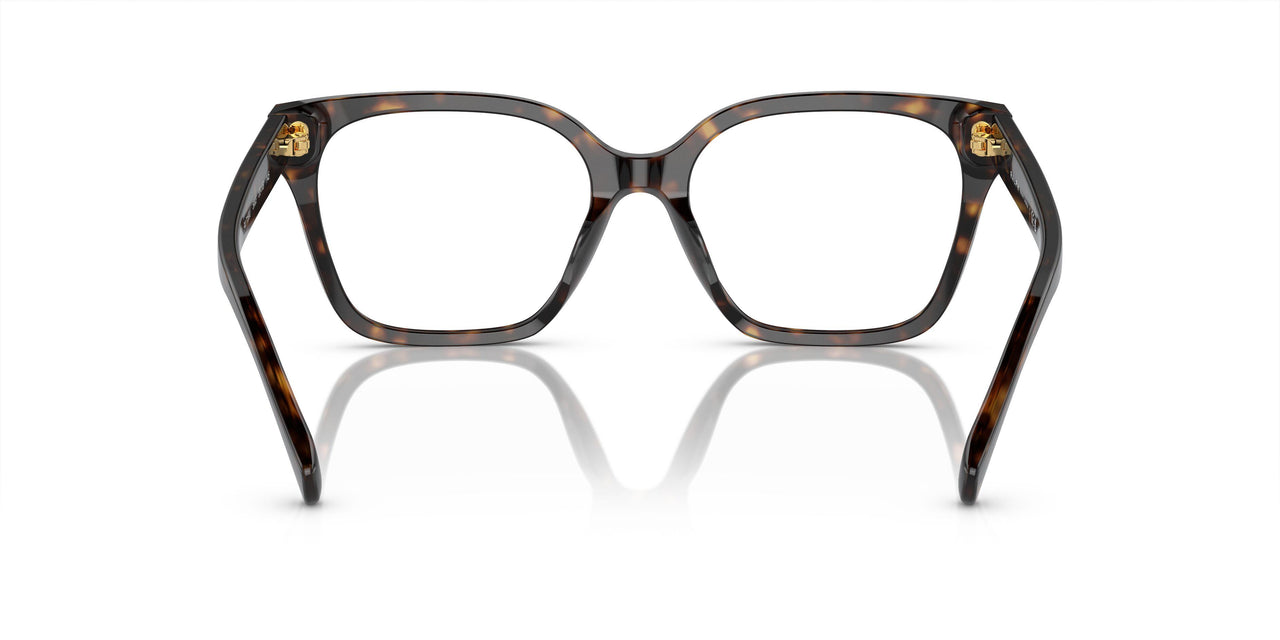 5003 - Brown