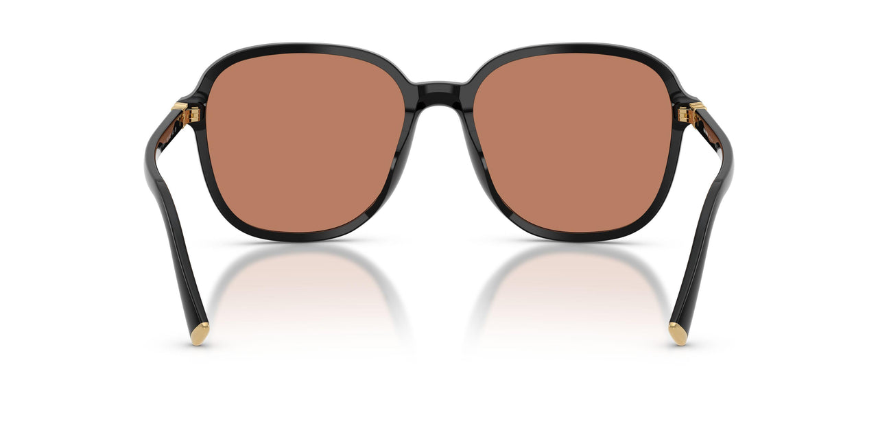 16K90Q - Black - Brown