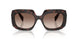 17N10S - Tortoise - Brown Gradient