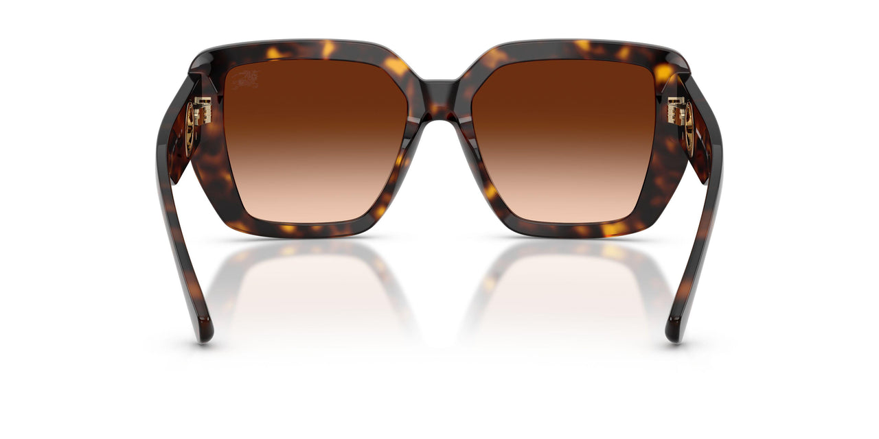 300274 - Brown - Brown Gradient