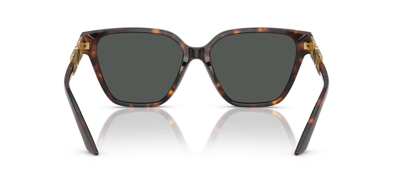 108/87 - Tortoise - Dark Grey
