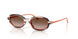 642613 - Multicolor - Brown Gradient