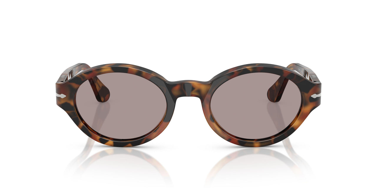 105253 - Tortoise - Violet