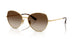 280/13 - Gold - Gradient Brown