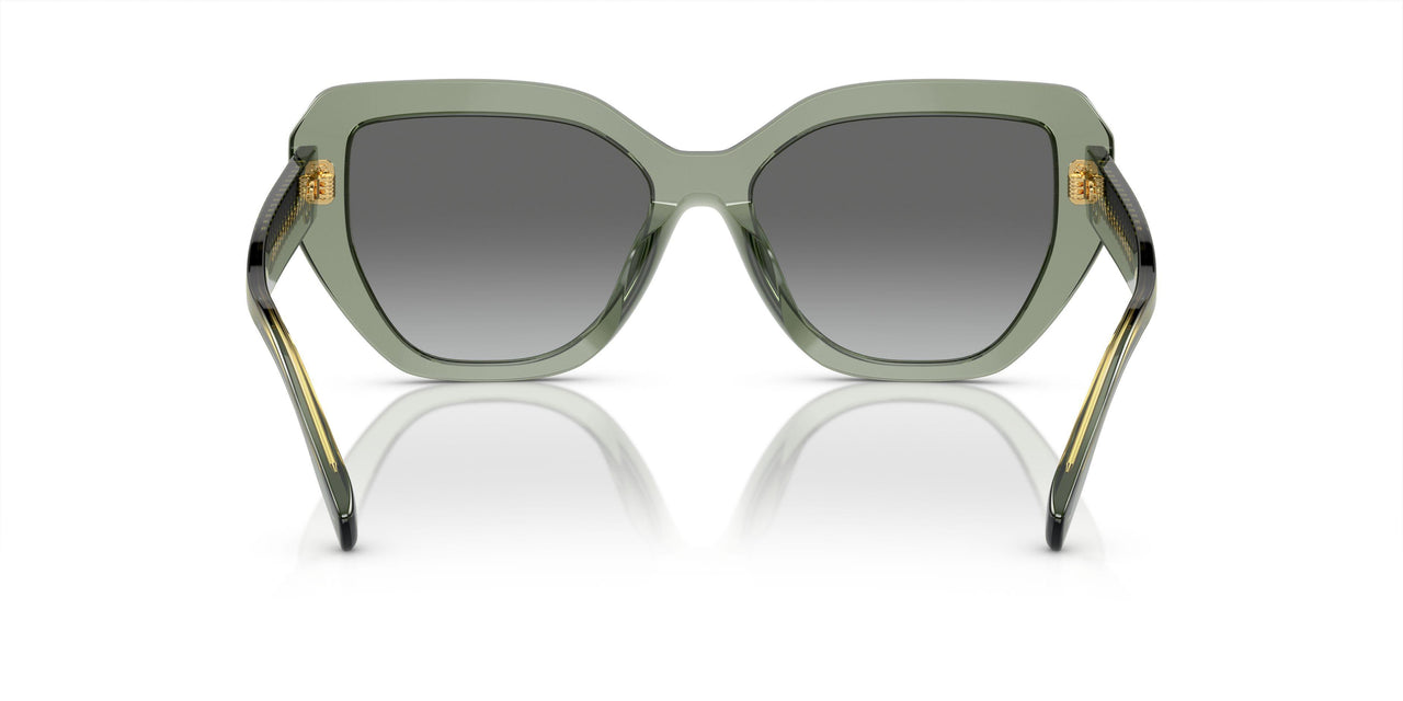 194111 - Green - Light Grey Gradient Dark Grey