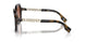 300213 - Brown - Brown Gradient