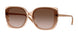 318113 - Brown - Gradient Dark Brown