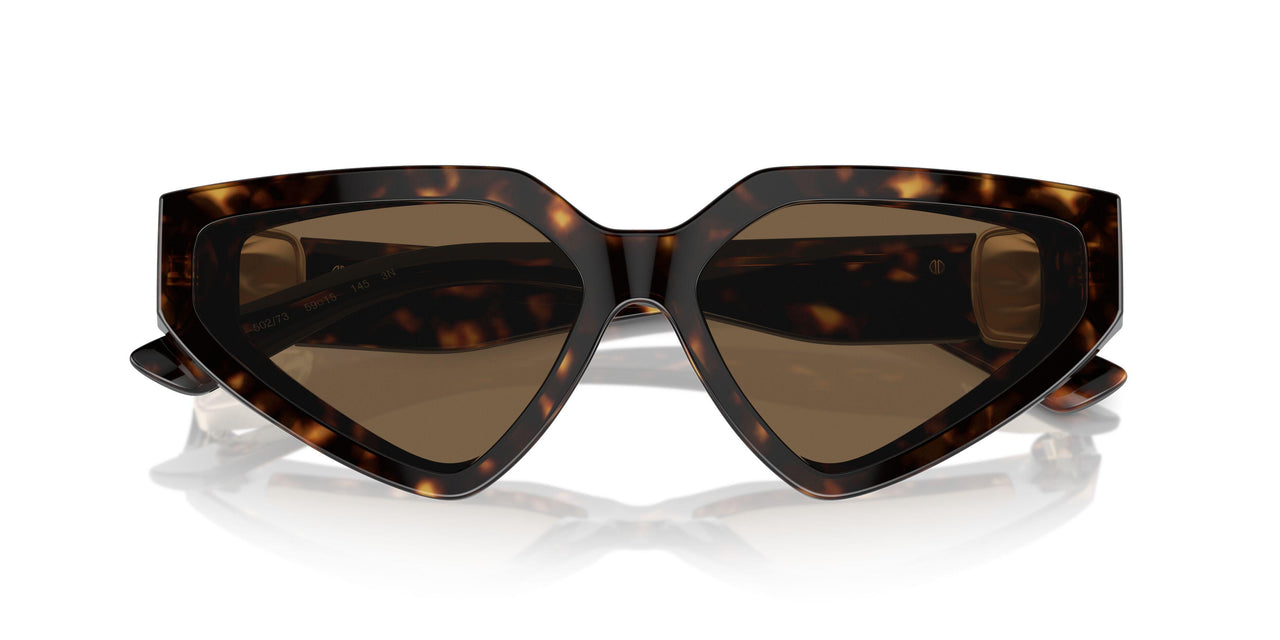 502/73 - Tortoise - Dark Brown