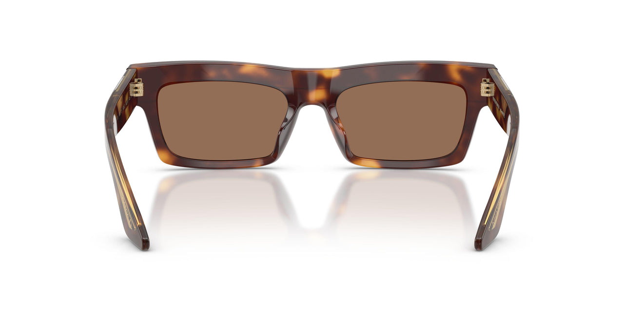 100773 - Tortoise - Brown