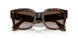 502613 - Tortoise - Gradient Brown