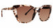 Trina Turk TTKAMARI Sunglasses