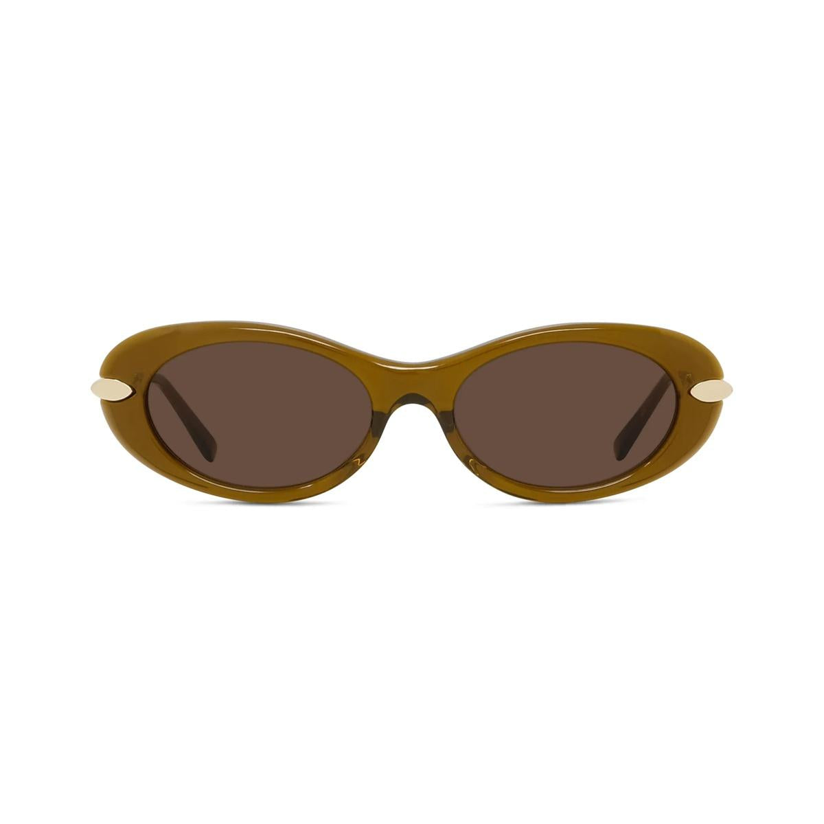 45E - Shiny Brown - Brown