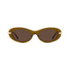 45E - Shiny Brown - Brown