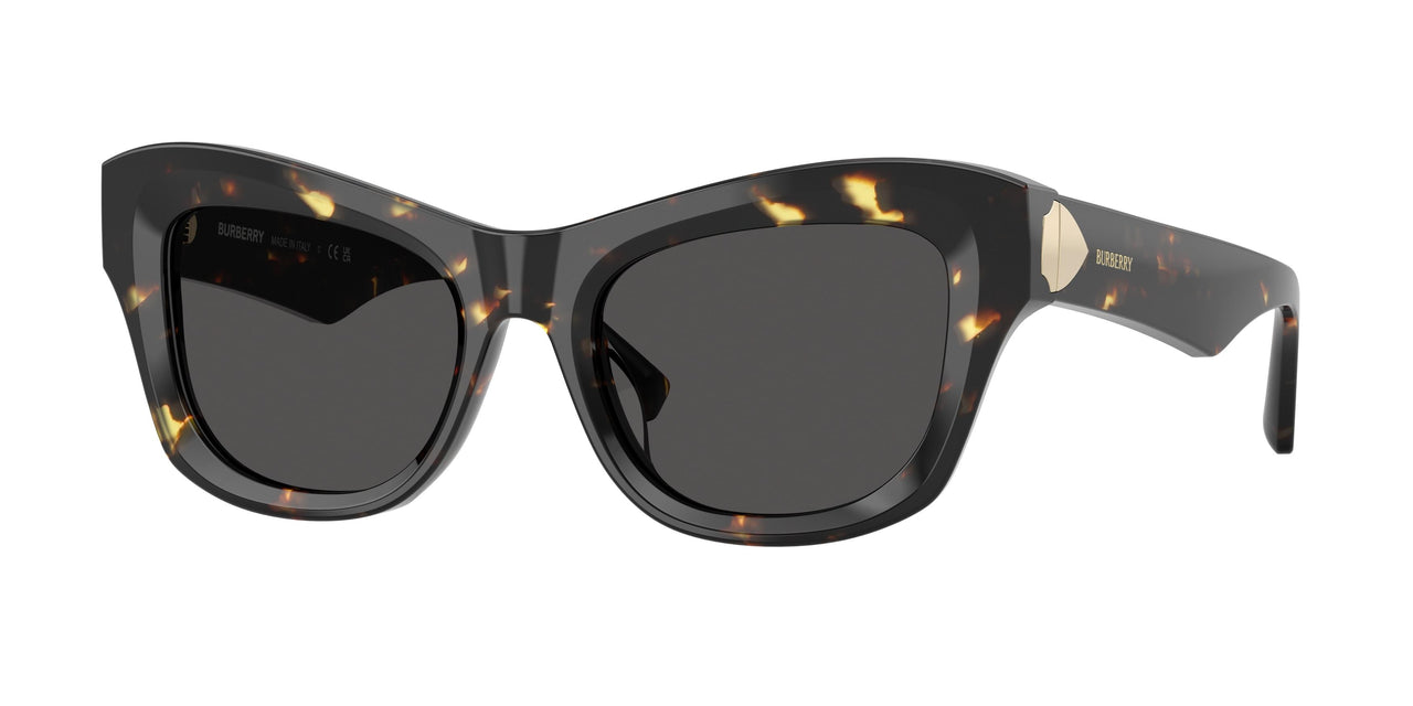 410687 - Tortoise - Dark Grey