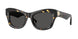410687 - Tortoise - Dark Grey