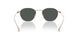 338487 - Gold - Dark Grey