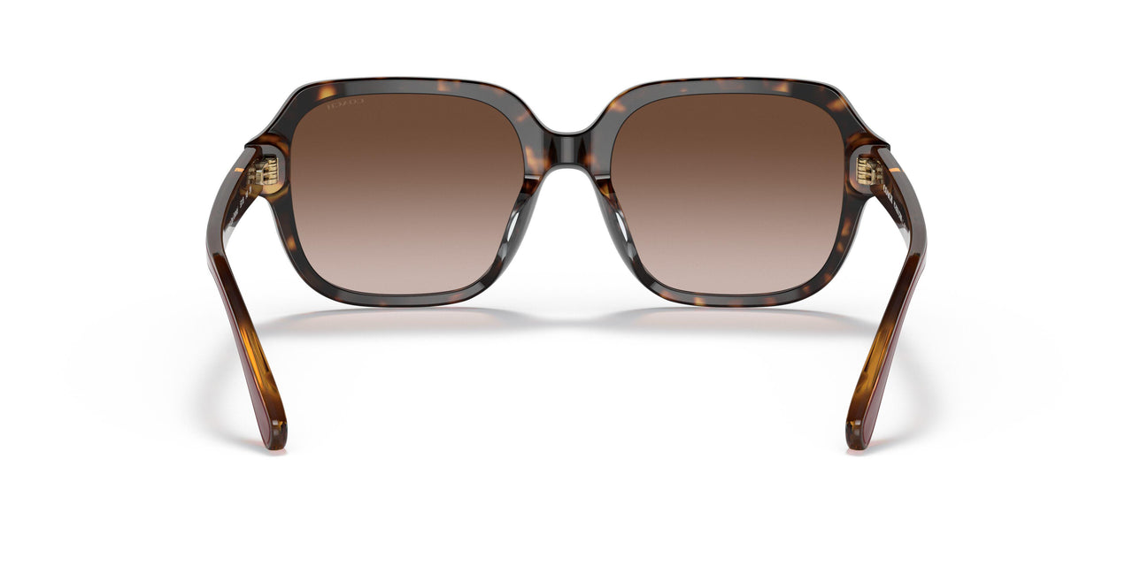 512013 - Havana - Brown Gradient