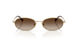 848/13 - Gold - Brown Gradient