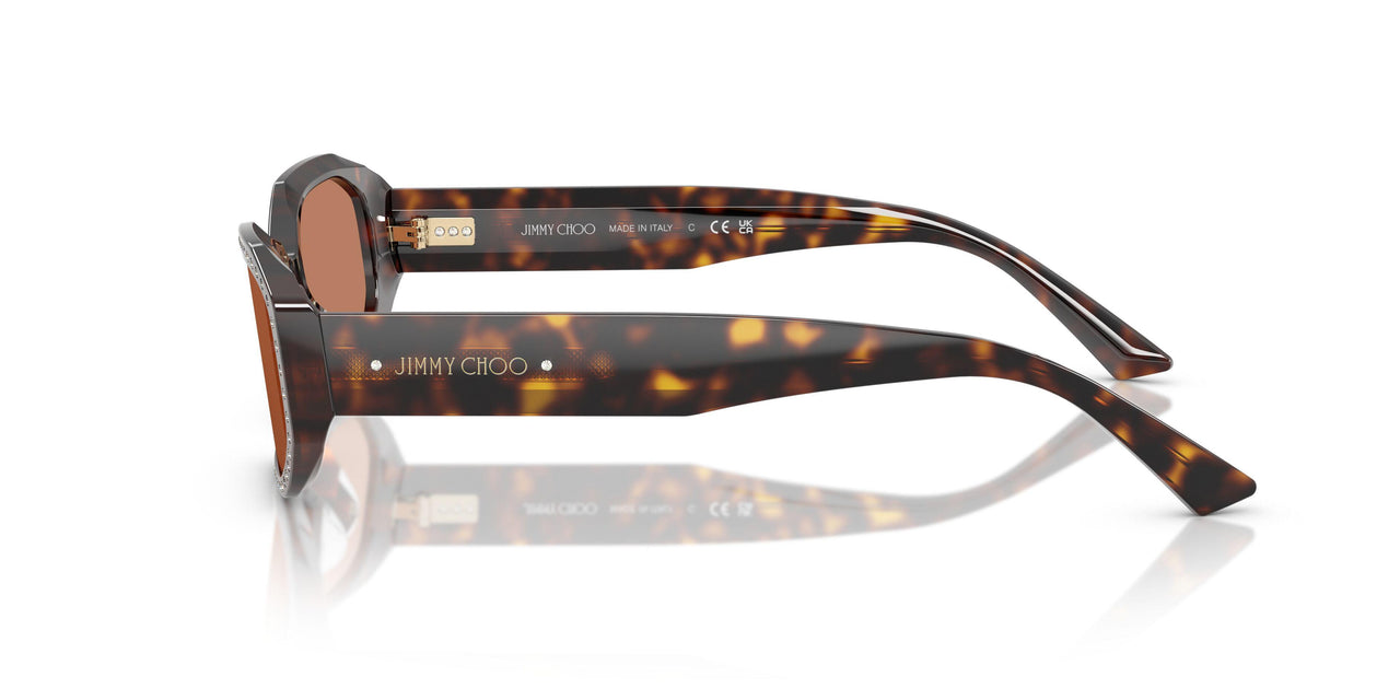 500273 - Tortoise - Brown
