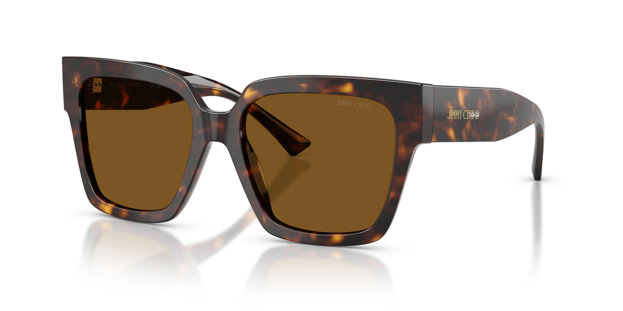 500283 - Tortoise - Polarized Brown