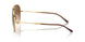 001/51 - Gold - Clear & Brown