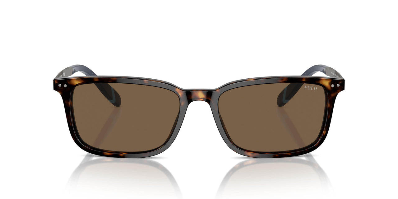 500373 - Brown - Brown