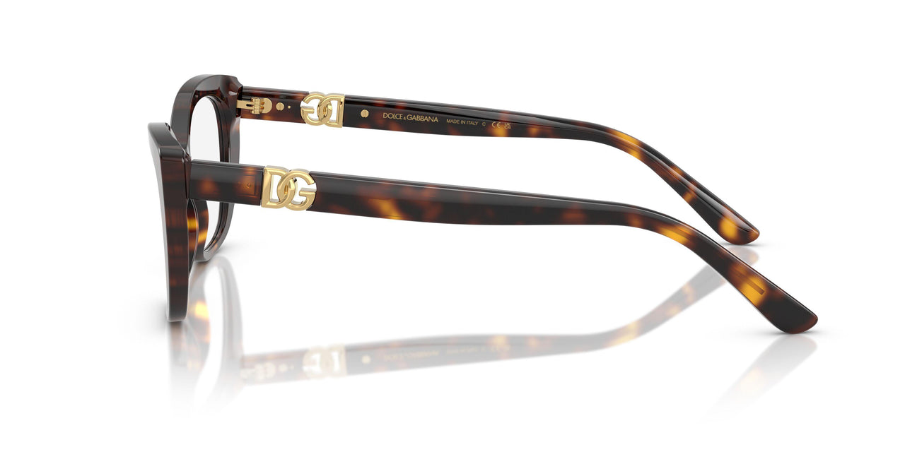 502 - Tortoise
