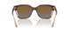 3136T5 - Brown - Grey Gradient Brown Polarized
