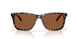 201902 - Tortoise - Copper