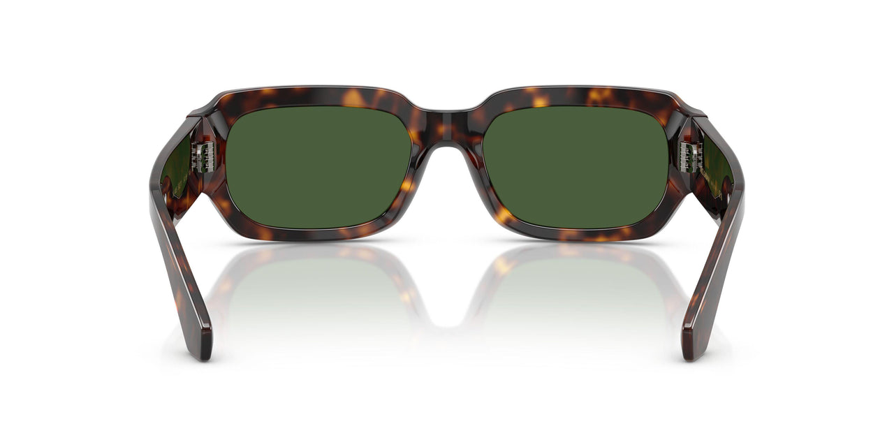 502/71 - Tortoise - Dark Green