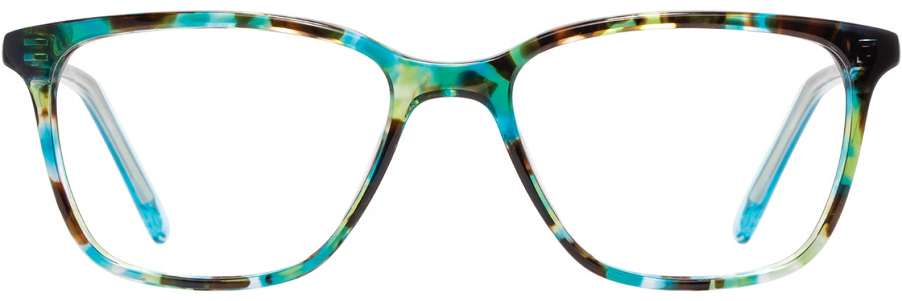 3 - Teal Tortoise