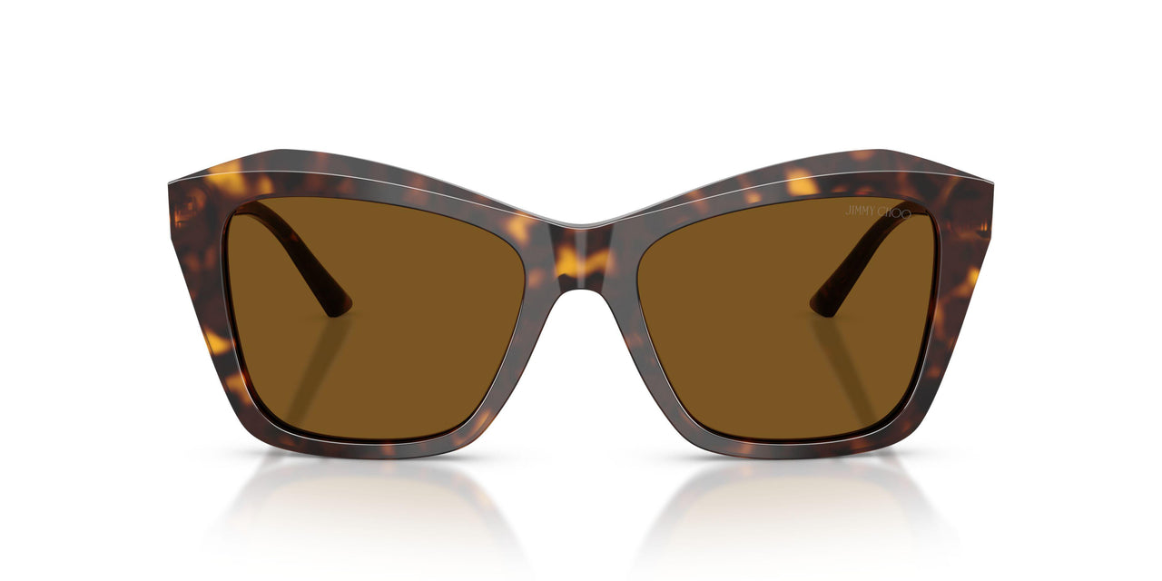 500283 - Tortoise - Dark Brown Polarized