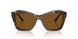 500283 - Tortoise - Dark Brown Polarized